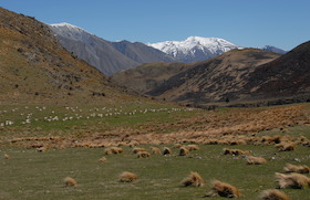 SMP Ventures past project